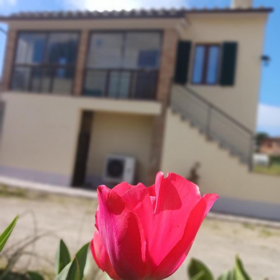 Casa Di Zio * Monticiano