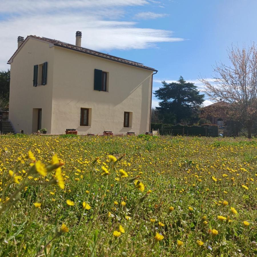 Holiday home Casa Di Zio Monticiano