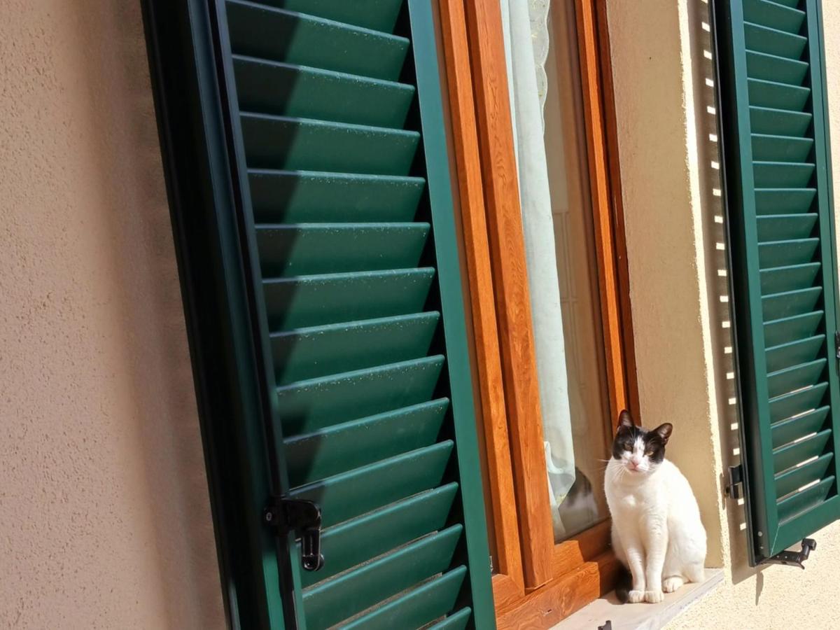 Hébergement de vacances Casa Di Zio Monticiano